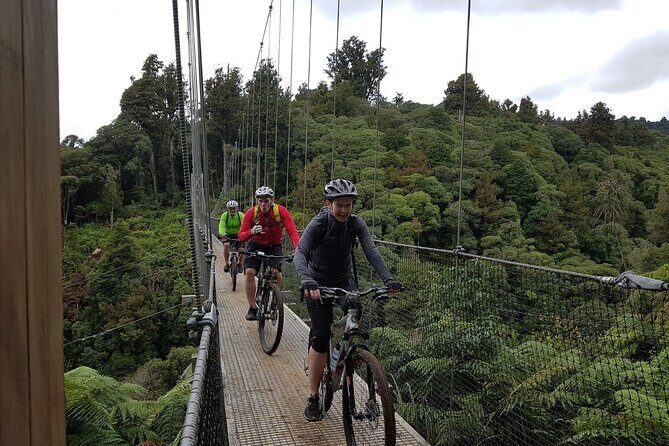 Timber Trail - Ongarue to Pureora Shuttle 2 Day Ride - A Deep Dive into the Timber Trail Shuttle & Bike Hire Experience