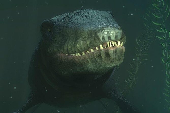 Time Tripper Queenstown - FAQ