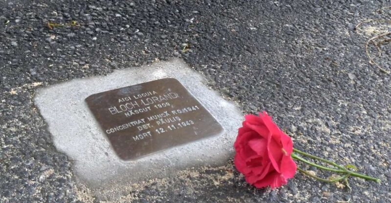 Timisoara: Jewish Heritage Walking Tour - Key Points