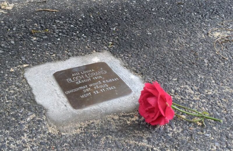 Timisoara: Jewish Heritage Walking Tour - An In-Depth Look at the Timisoara Jewish Heritage Walking Tour