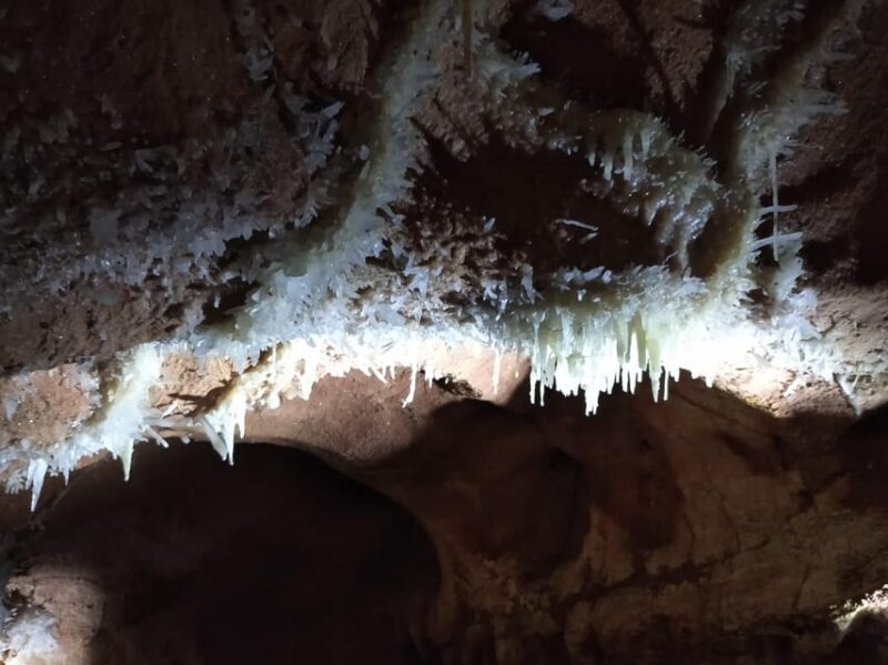 Timisoara: Oradea City Tour and Trip to Apuseni Caves - Frequently Asked Questions