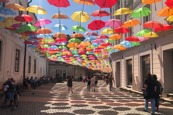 Timisoara: Shared Guided Tour in English - Exploring Timisoara’s Landmarks and Hidden Corners