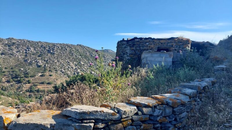Tinos: 3-Day Hiking Adventure - Day 3: Tinos’ Historic Heart and Panagia Shrine