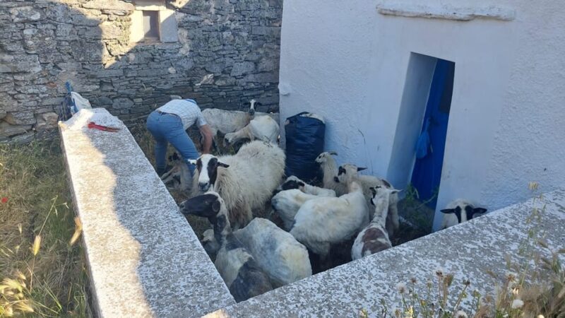 Tinos: 3-Day Hiking Adventure - Is it worth the cost?