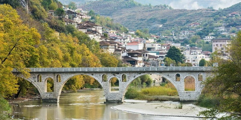 Tirana: Berat Day Trip with Castle and Onufri Museum Entry - Who Should Book This Tour?