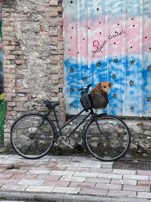 Tirana Bike Tour Discover the Capital on Two Wheels - Who Is This Tour Best For?