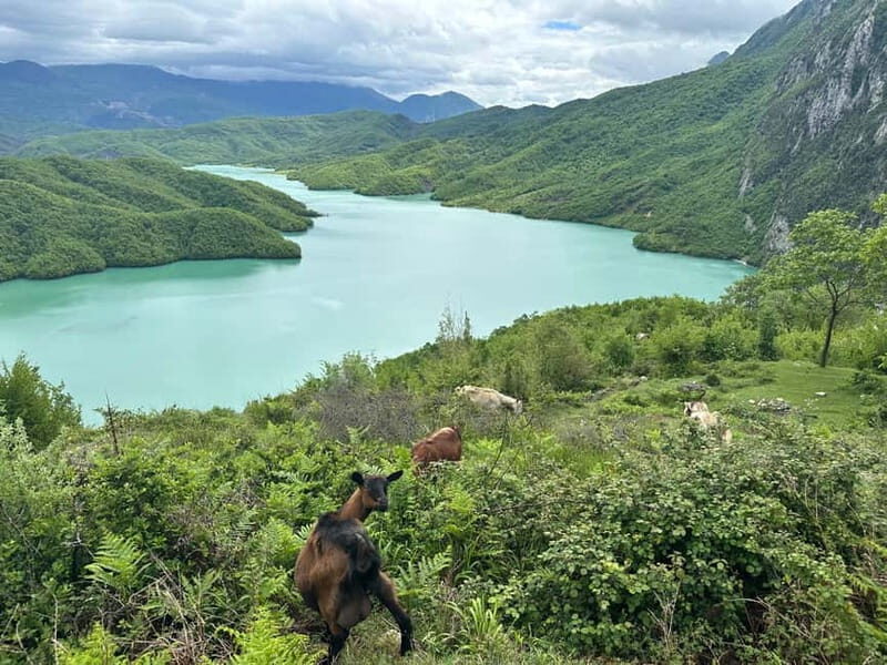 Tirana: Bovilla Lake & Gamti Mountain with SUV, No-Hiking - Who Is This Tour Best For?