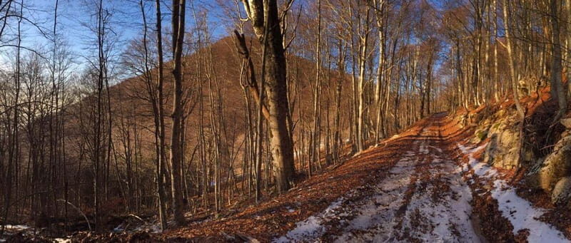 Tirana: Dajti Mountain Half-Day Trip with Cable Car Ticket - Key Points