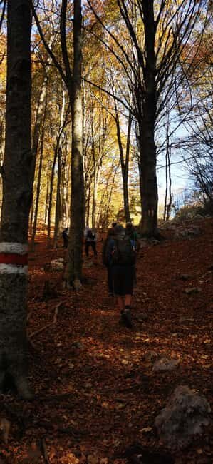 Tirana: Dajti National Park and Tujani Peak Hiking Tour - What This Tour Is All About