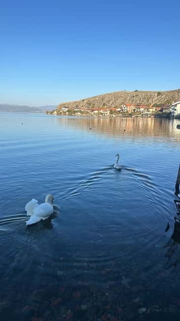 Tirana/Durres:North Macedonia, Ohrid & St Naum (Small Group) - The Qafë Thana Viewpoint: A Breathtaking Finale