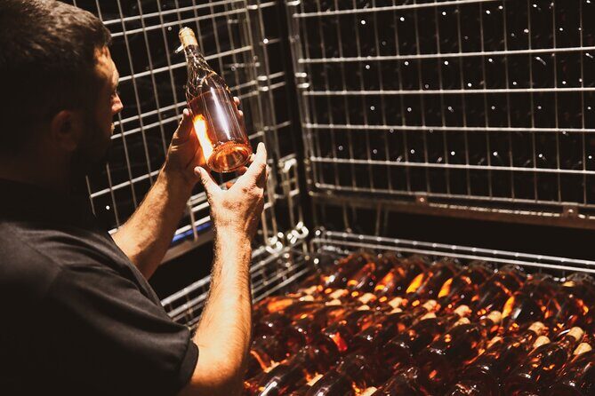 Tirana Lundra Winery Guided Tour with Wine Tasting - Key Points