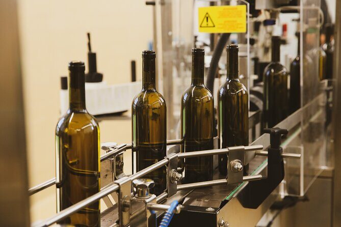 Tirana Lundra Winery Guided Tour with Wine Tasting - Who is This Tour Best For?