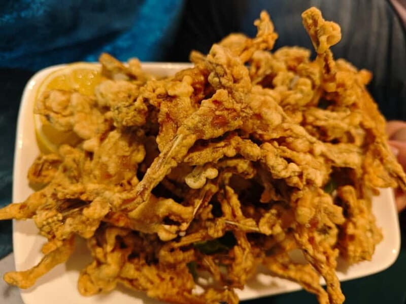 Tirana to Bylis & Apollonia: Private day trip - Exploring the Private Day Trip from Tirana to Apollonia and Bylis