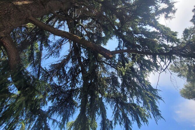 Tiranas Communist Past: A Tasting Tour with Traditional Lunch - FAQs