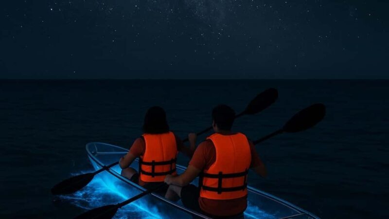 Titusville: Bioluminescent Clear Kayak Tour - An Honest Look at the Experience