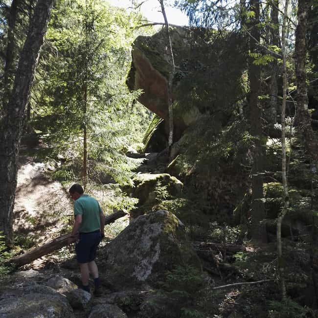 Tiveden National park: Summer guided walk around Stenkälla - Key Points