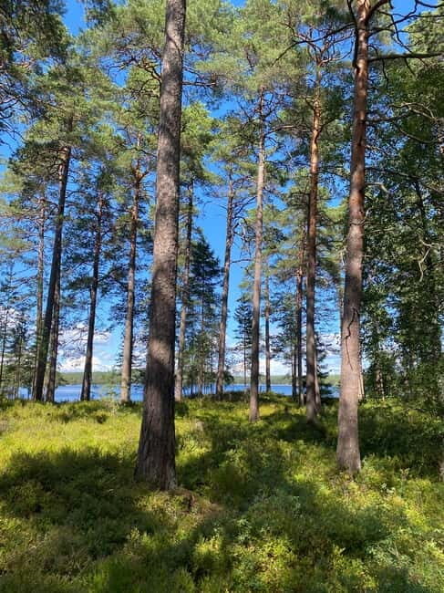 Tiveden: The Legend of Junker Jägare Guided Hike - Practical Details You Need to Know