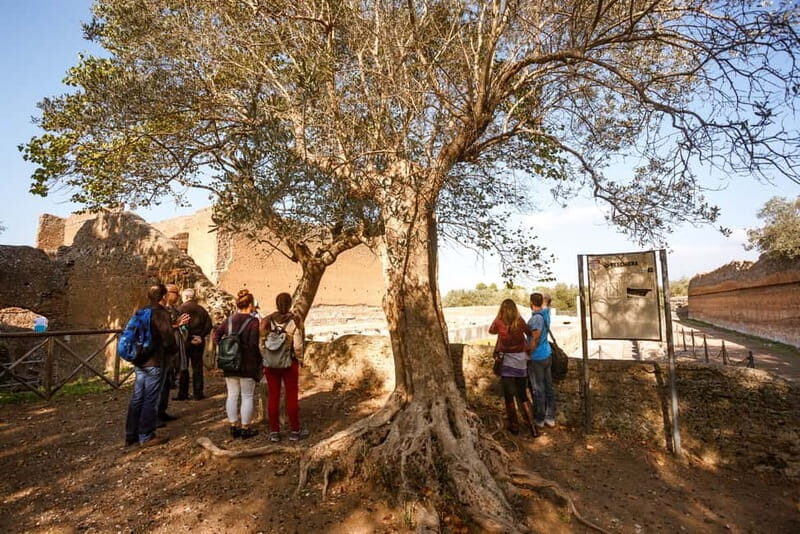 Tivoli: Entrance Ticket to Villa Adriana & App Audio Guide - Practical Details and Pricing