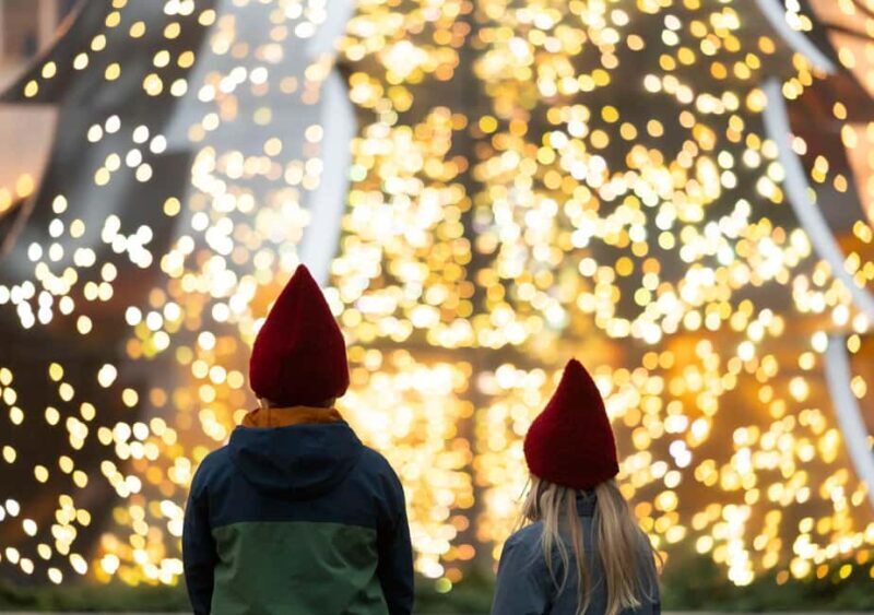 Tivoli Gardens Christmas Season Entry Ticket - Final Thoughts: Is It Worth It?