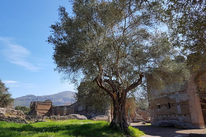 Tivoli Villas Full Day Trip From Rome with Lunch - First Stop: Villa Adriana (Hadrian’s Villa)