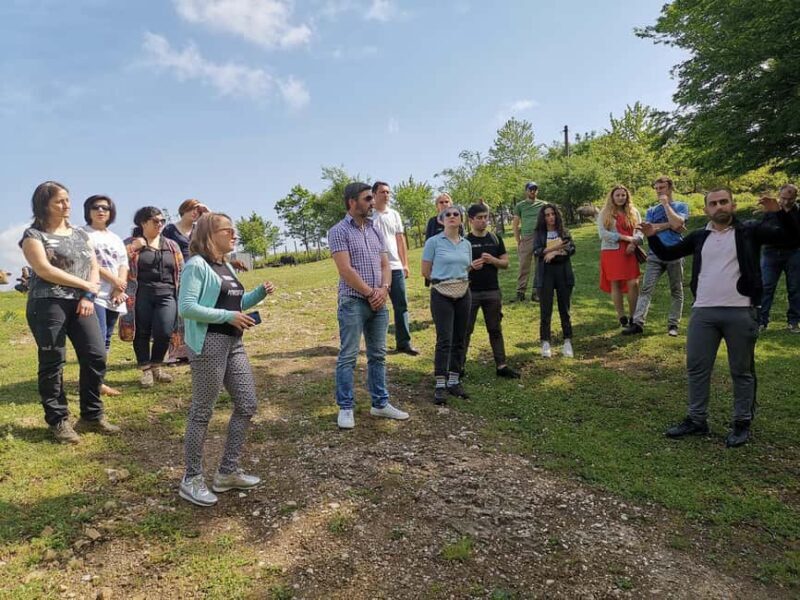 Tkibuli Day Trip with Wine & Tea Tasting from Kutaisi - Key Points