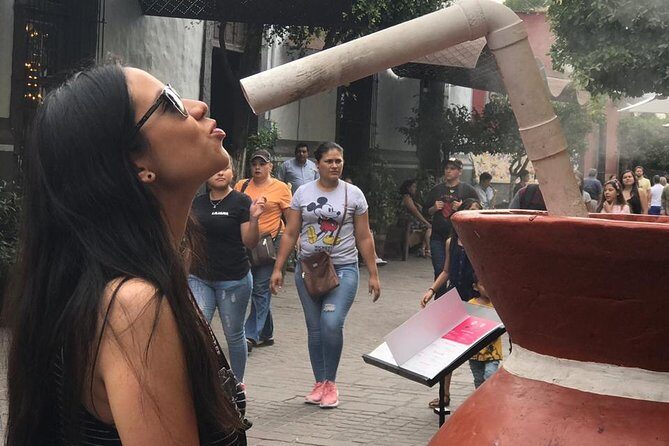 Tlaquepaque Tour with Transportation! - Who Is This Tour Best For?