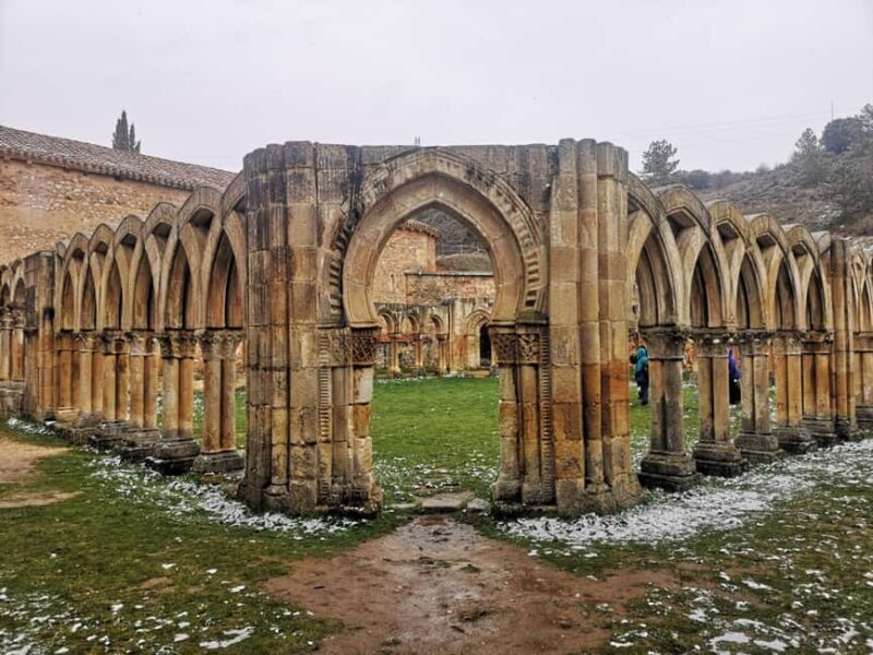 To the Ribera del Duero: Guided visit to discover the monuments of the Duero - Who Should Consider This Tour?