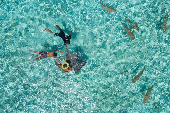 Toa Boat Bora Bora Private Lagoon tour On Majestic Pontoon Boat - The Experience in Detail