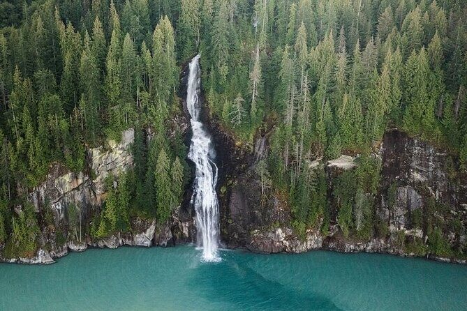 Toba Bears and Wilderness Grizzly Bear Viewing in Campbell River - An In-Depth Look at the Experience
