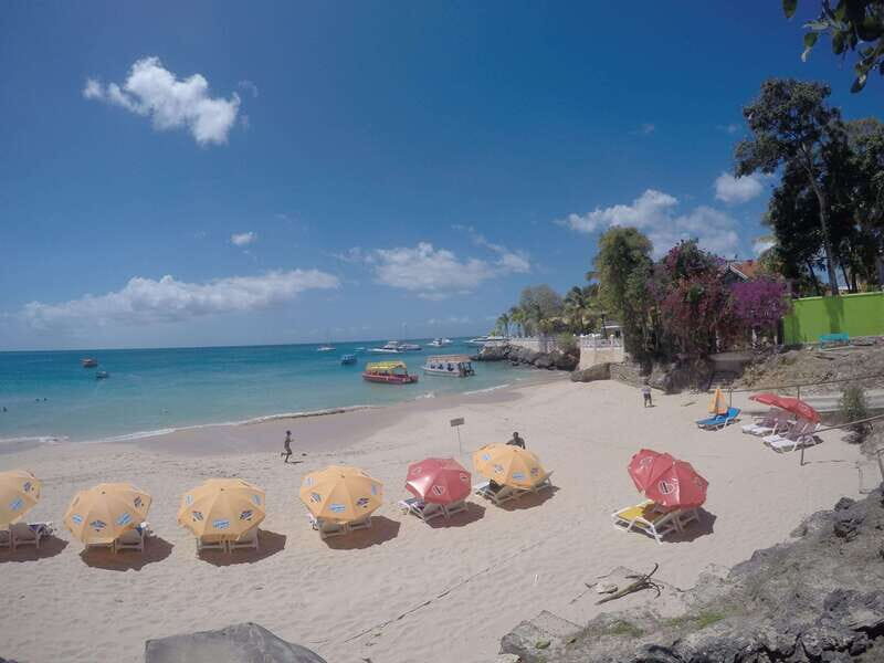 Tobago: Glass Bottom Boat & Highlights Tour - Authentic Feedback and Insights