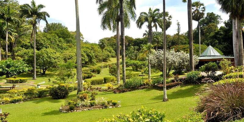 Tobago: Island Circle - FAQ