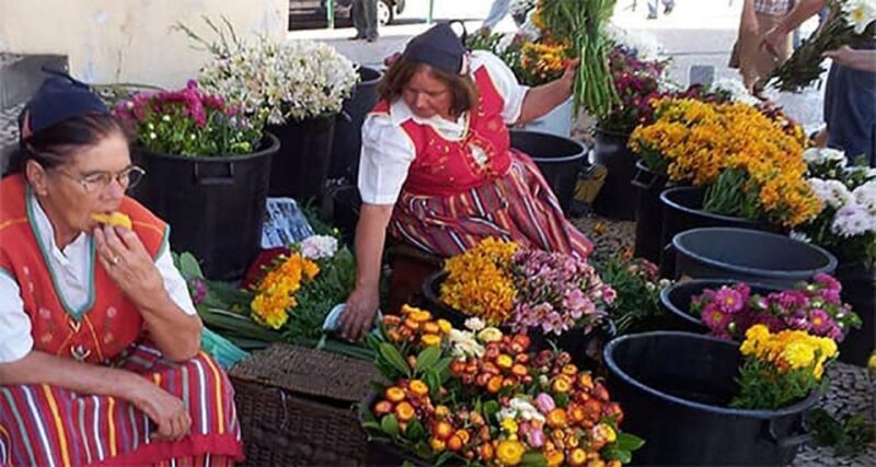 Toboggan Ride & Madeira Wine Tasting Tour - Key Points