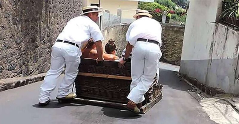Toboggan Ride & Madeira Wine Tasting Tour - What to Expect on This Tour