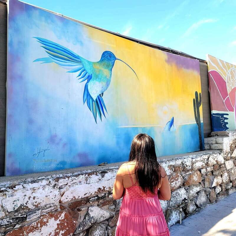 Todos Santos: Art & Culture Experience by Mexican Artist - What to Expect from the Tour