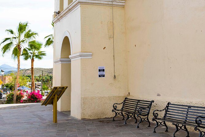 Todos Santos City Tour - What to Expect on the Tour