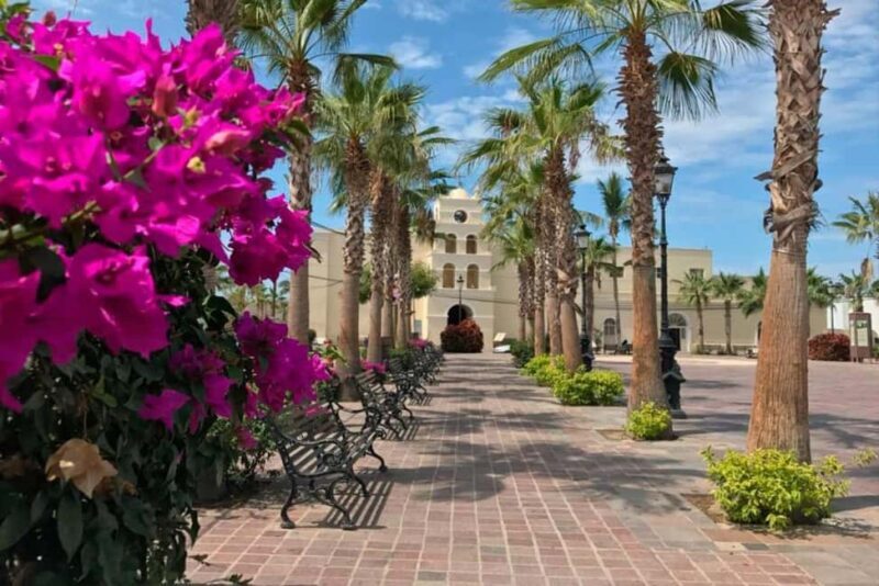 Todos Santos Encounter Tour - A Closer Look at the Todos Santos Encounter Tour