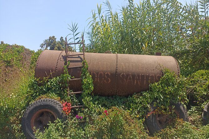 Todos Santos Treasure Hunt - An Honest Look at the Todos Santos Treasure Hunt