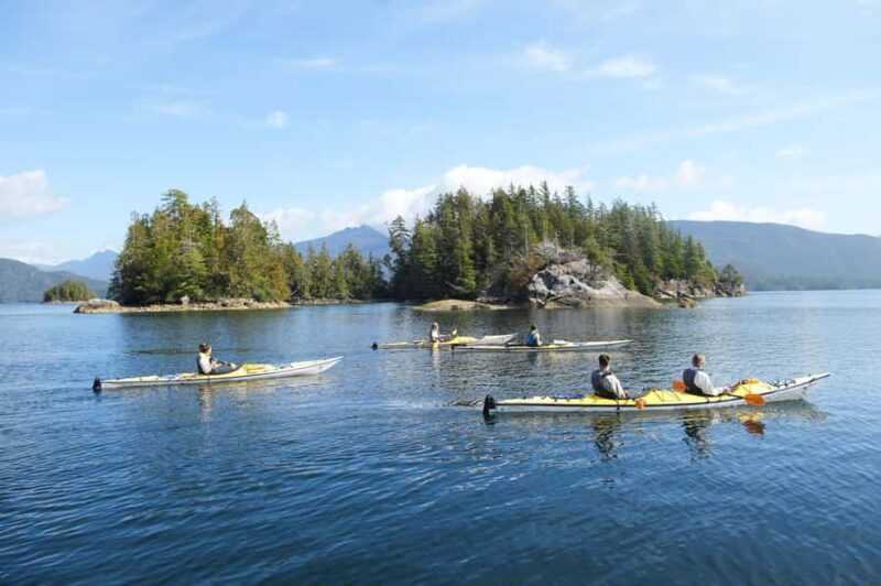 Tofino: Clayoquot Sound Kayak Tour with Boat Ride - An In-Depth Look at the Clayoquot Sound Kayak Tour