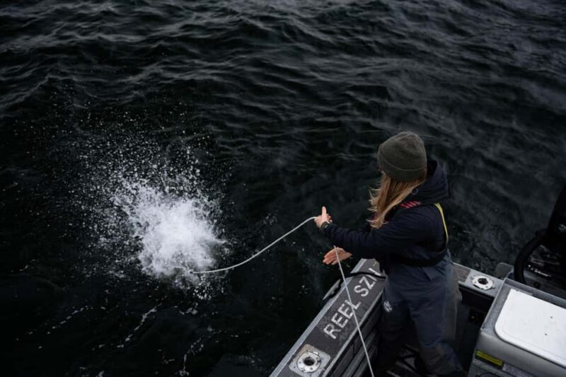 Tofino: Private Boat Tour with Big Tree Trail & Crabbing - Exploring the Itinerary and What to Expect