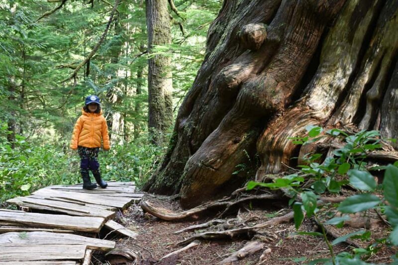 Tofino: Private Boat Tour with Big Tree Trail & Crabbing - Practical Tips Before You Go