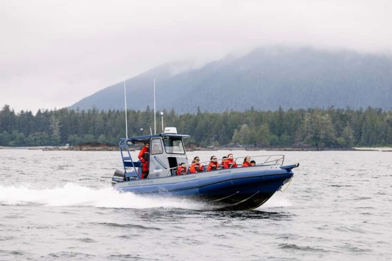 Tofino: Whale Watching Tour with Nature Guide - Value for Money
