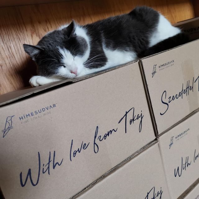 Tokaj: Classic Wine Tasting - Practical Details and Considerations