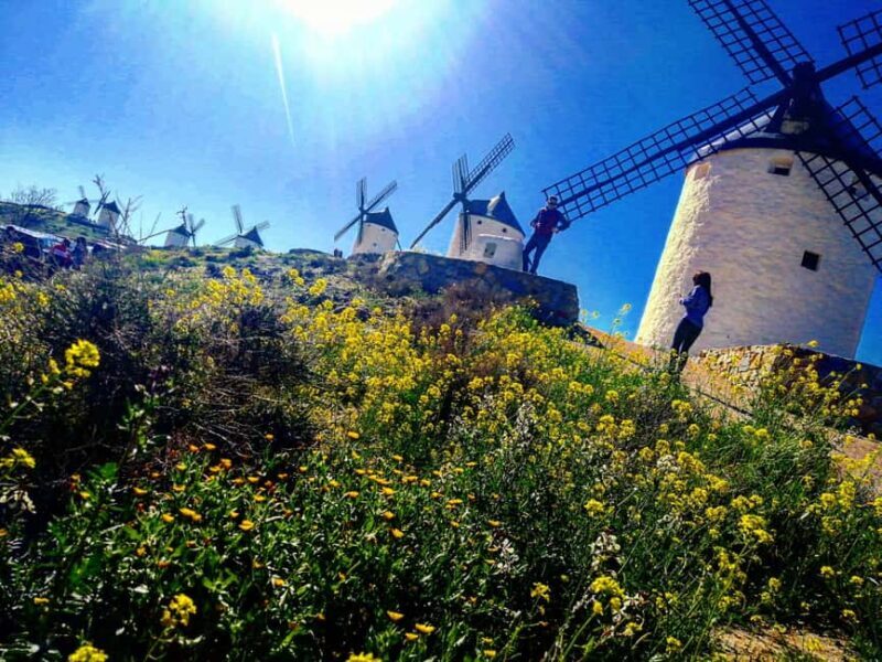 Toledo: Toledo & La Mancha Wine Tour - Windmills and Lunch Included. - The Winery Visit & Tasting