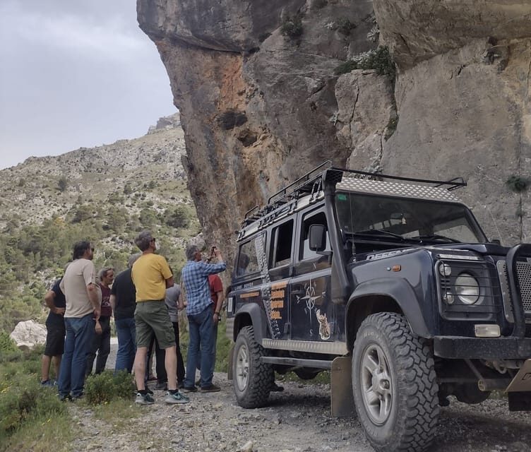 Tolox: Sierra de las Nieves National Park Private 4x4 Tour - Pricing and Value