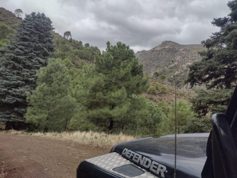 Tolox: Sierra de las Nieves National Park Private 4x4 Tour - Who Is This Tour Best For?