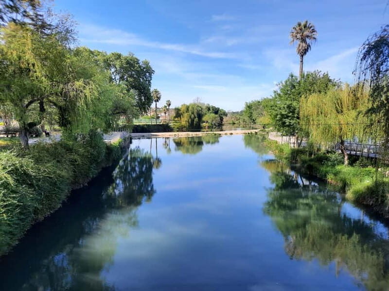 Tomar day tour from Lisbon - History of the Knights Templar - A Closer Look at the Tour Experience