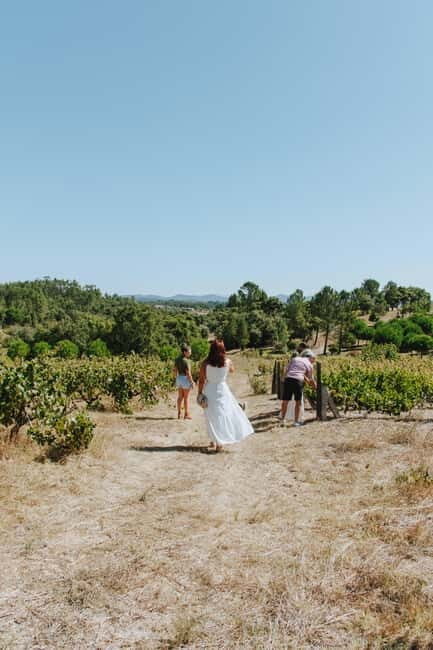 Tomar: Lunch among the vineyards - An in-depth look at what to expect