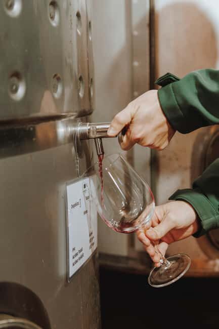 Tomar: Yoga, Meditation and Regional Flavors - Introducing Tomar’s Yoga, Meditation, and Regional Flavors Tour