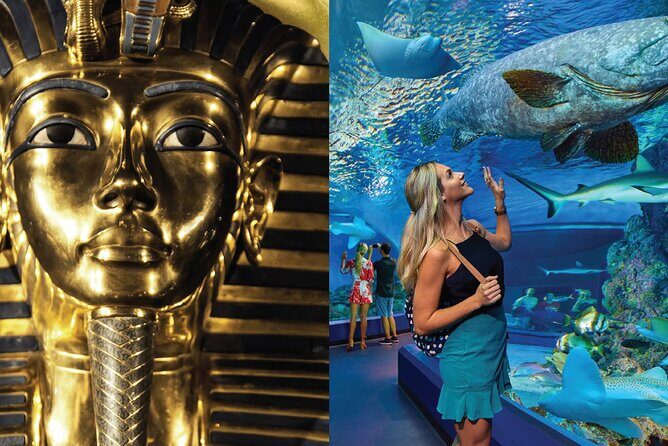 Tomb of the Pharaohs and Cairns Aquarium Combo - Key Points