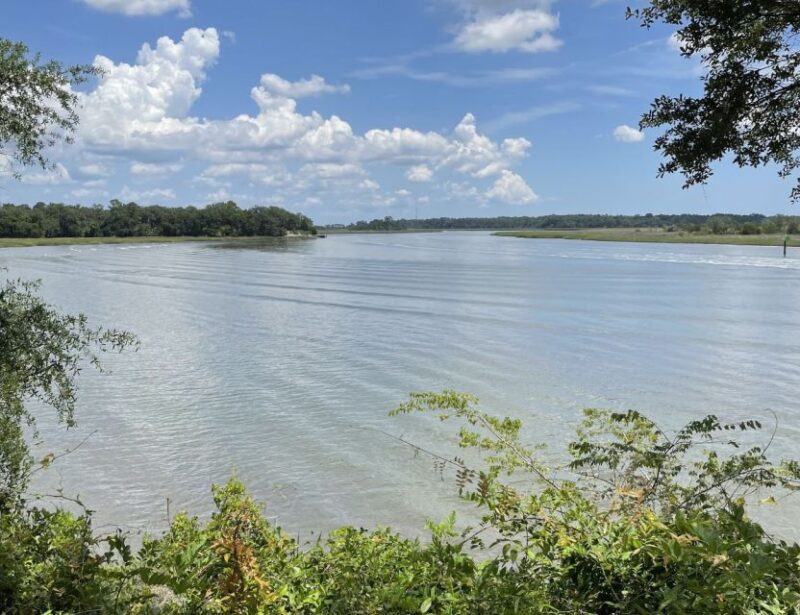 Tombs of Savannah: Bonaventure Cemetery Experience - The Experience in Detail